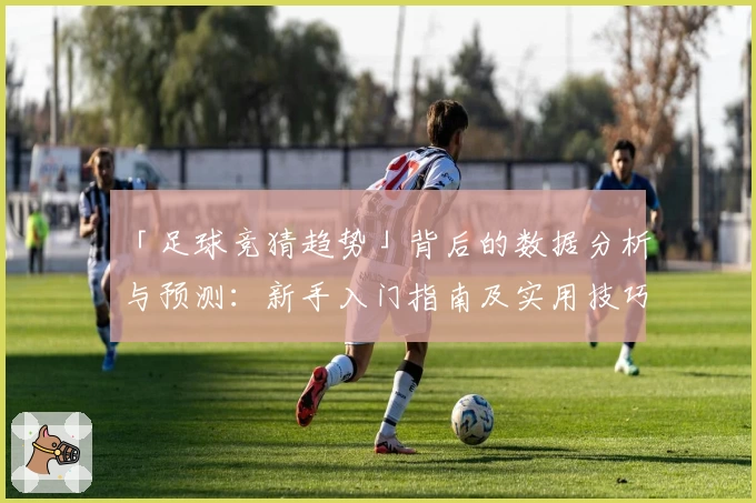 「足球竞猜趋势」背后的数据分析与预测：新手入门指南及实用技巧分享