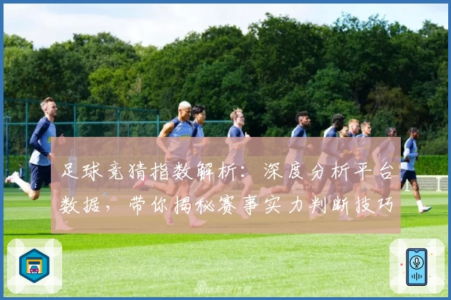 足球竞猜指数解析：深度分析平台数据，带你揭秘赛事实力判断技巧